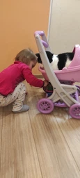 Коляска для кукол с люлькой Doloni Toys 0121/04 Серо-розовая