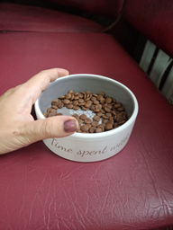 Миска керамическая для собак Trixie Pet's Home 300 мл / 12 см (4011905250533) фото от покупателей 5