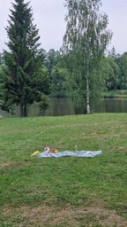 Непромокаемый коврик-покрывало для пикника, складной коврик на природу полоска фото от покупателей 1