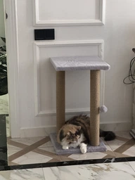 Дряпка для кота Мур-Мяу Гламур 37х37х64 см для кішок у джутовій мотузці Сірий фото від покупців 18