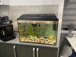 Аквариумный комплект Zoocool 3 in 1 ЭКО прямоугольный (Крышка Миньон) 400-250-300 (30л) 4мм