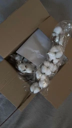 Гілка бавовни MORO 58см білий M-4254 фото від покупців 2
