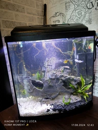 Аквариумный комплект Zoocool 3 in 1 T4-LED овальный 500-300-300 (45л) 4мм