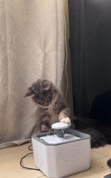 Поилка для животных Pet Water FOUNTAIN фото от покупателей 6