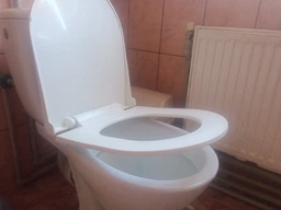 Сидіння для унітазу NKP з термопласту серія Slim Inci з мікроліфтом 0338 фото від покупців 7