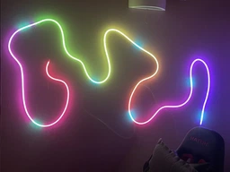 Умная гибкая неоновая лента 5 м RGB управление с телефона и пульта Smart LED Neon, неон цветной фото от покупателей 8