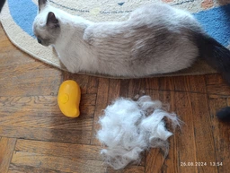 Паровая щетка расческа для вычесывания шерсти котов 3 в 1 Steamy Cat Brush Зеленая фото от покупателей 18