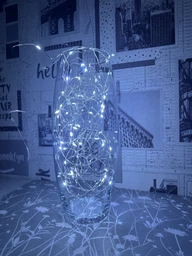 Гірлянда світлодіодна нитка роса 10м LED 100 на батарейках 3 шт AA та USB колір Blue