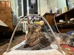 Іграшка для котів килимок ігровий з дряпкою Trixie 60*33*42 см фото від покупців 5