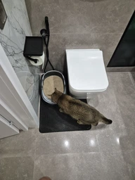 Туалет для кішок глибокий овальний з сіткою + лопатка Lucky Pet Модерн 45x30x15 см Бежево-коричневий (4820268554321) фото від покупців 7