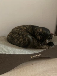 Кігтеточка з картону посиленого з дерев'яним фасадом Cat Joy Bionica Beige Wood 63х14х29 см фото від покупців 8