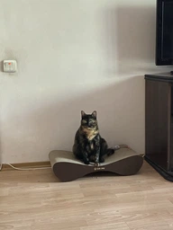 Кігтеточка з картону посиленого з дерев'яним фасадом Cat Joy Bionica Beige Wood 63х14х29 см фото від покупців 7