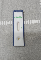 Тест для обнаружения лямблии (Giardia lamblia) в фекалиях ECOTEST GL-F23