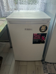 Морозильная камера Prime Technics FS 801 M