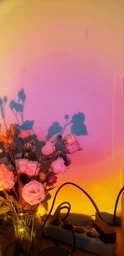 Проекционная светодиодная лампа сансет Sunset Lamp INSPIRE RGB S2 фото от покупателей 1