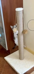 Дряпка для кота Мур-Мяу Стовпчик-2 37х37х72 см для кішок у джутовій мотузці Бежевий фото від покупців 15