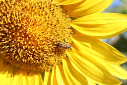 Фотоаппарат Canon EOS 250D BK 18-55 DC III (3454C009AA) фото от покупателей 5