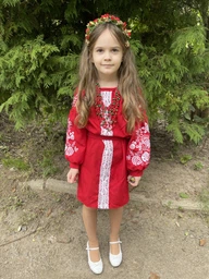 Сукня вишиванка для дівчинки Квіткове Поле червона 134