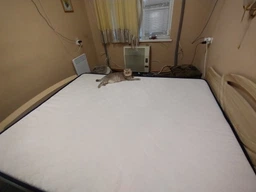 Матрас Highfoam Lento Adagio 120х200 см (EVR-5028) фото от покупателей 10