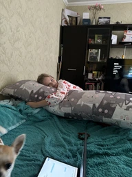 Подушка дакимакура Руно Grey Cat_1 антиаллергенное волокно 50х150 см (Р315.52_Grey Cat_1) фото от покупателей 1