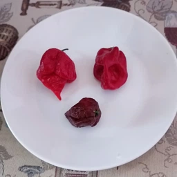 Семена перца Каролина Рипер (Carolina Reaper) красный (red) фото от покупателей 18