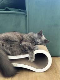 Кігтеточка лежанка з картону з дерев'яним фасадом Cat Joy Авангард Коричнева 59х18х25 см фото від покупців 4
