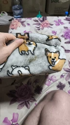 Плед Ardesto Flannel Корги Серый с оранжевым 160х200 см (ART0109PB) фото от покупателей 6