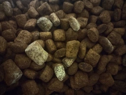 Сухой корм Carpathian Pet Food Maxi Adult для взрослых собак крупных пород с курицей и морским окунем 12кг фото от покупателей 5