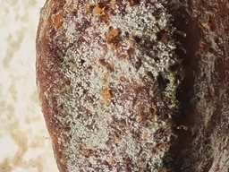 Сухой корм Carpathian Pet Food Maxi Adult для взрослых собак крупных пород с курицей и морским окунем 12кг фото от покупателей 4