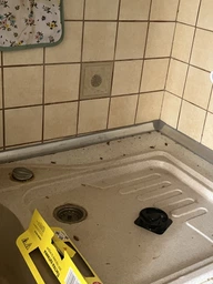 Комплект 2 шприца гель-паста средство от тараканов Targan-dez Stop Cockroach gel + Подарок Клеевая ловушка фото от покупателей 13