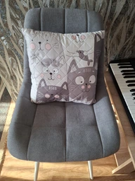 Подушка декоративная Руно Grey Cat антиаллергенное волокно 40х40 см (Р311.52_Grey Cat) фото от покупателей 8