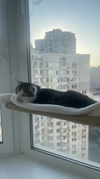 Підвісна лежанка гамак для кішок на вікно Лежанка підвісна на вікно з великими присосками Sunny Seat Mounted Cat Bed