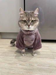 Флисовая кофта для котов (кошек) Бархат S Голубой фото от покупателей 8