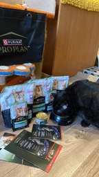 Сухой корм для стерилизованных кошек Purina Pro Plan Sterilised Senior 7+ с индейкой 10 кг фото от покупателей 1
