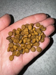 Сухой корм для стерилизованных кошек Monge Cat Adult Sterilised Chicken 400 г (Курица) фото от покупателей 5