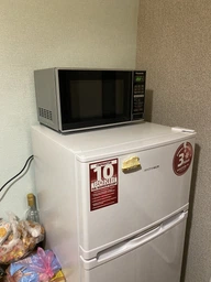 Мікрохвильова піч Panasonic NN-GT264MZPE