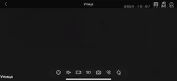 Вулична поворотна WI-FI IP-камера відеоспостереження А8 4mp 360 (A8) monitor ЧОРНА ICSSE