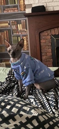 Футболка для котов и кошек Pet Style "Самолет" Синяя XL
