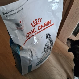 Сухой корм Royal Canin Anallergenic Canine для собак при пищевой аллергии или непереносимости 8 кг (3182550801010) фото от покупателей 5