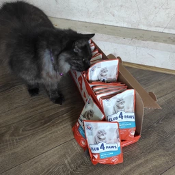 Упаковка вологого корму для дорослих котів Club 4 Paws для дорослих котів з ягням в соусі 85 гр 24 шт фото від покупців 3