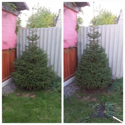 Кусторез электрический Bosch EasyHedgeCut 45 (0600847A05) фото от покупателей 3