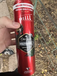 Дезодорант-антиперспірант OLD SPICE 250мл Wolfthorn