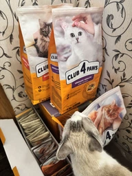 Сухий корм для котів з куркою Club 4 Paws Клуб 4 Лапи для виведення шерсті 2 кг (4820215369428) фото от покупателей 1