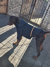 Куртка-дощовик для собак Noble Pet Moss Yellow M-Short (M4108/M-Short) фото от покупателей 2