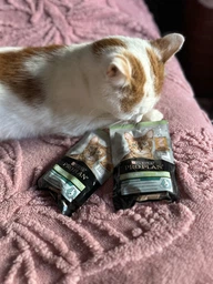 Сухой корм Purina Pro Plan Sterilised с кроликом для стерилизованных кошек и кастрированных котов 1,5 кг фото от покупателей 12