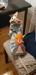 Светр для котів (кішок) Новорічний Олень XL Сірий фото від покупців 1