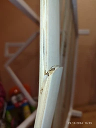 Дитяче ліжко будиночок Монтессорі BUSY WOOD на ніжках Модель 3 160х80 см сірий фото від покупців 3