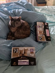 Влажный корм для кошек Purina Pro Plan Sterilised кусочки в соусе с говядиной 5 х 85 г, с курицей 5 х 85 г (Мультипак) фото от покупателей 4