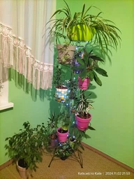 Кованая подставка для цветов "Спираль" на 10 вазонов. (Спір.10 W-007) фото от покупателей 1