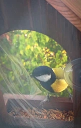 Кормушка для птиц на окно House_for_birds "Балкон" дерево фото от покупателей 1